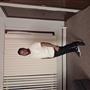 Free Chat Dating Sites | Anthony123, 38 (Male) from United States - FriendFin | Profile
